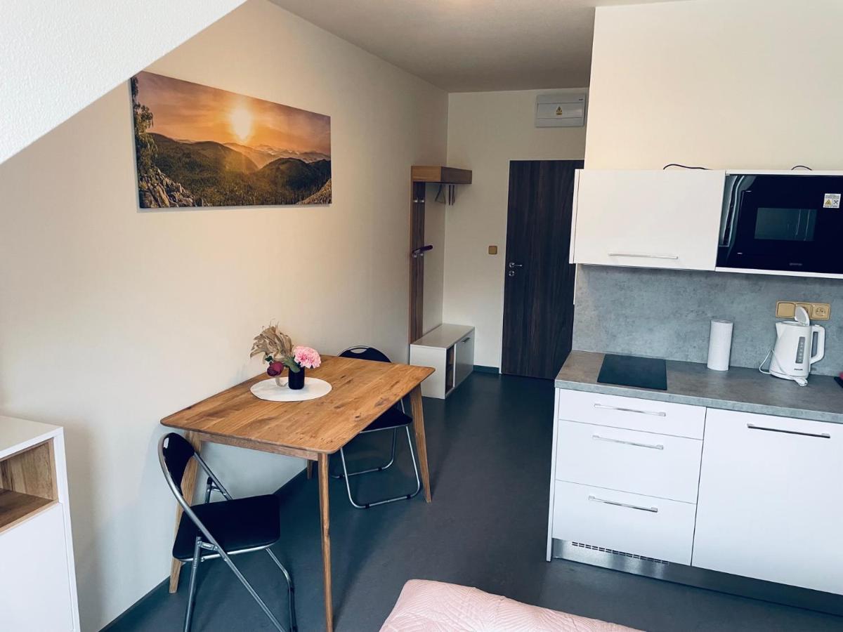 Benesovka Appartement Vacov Buitenkant foto