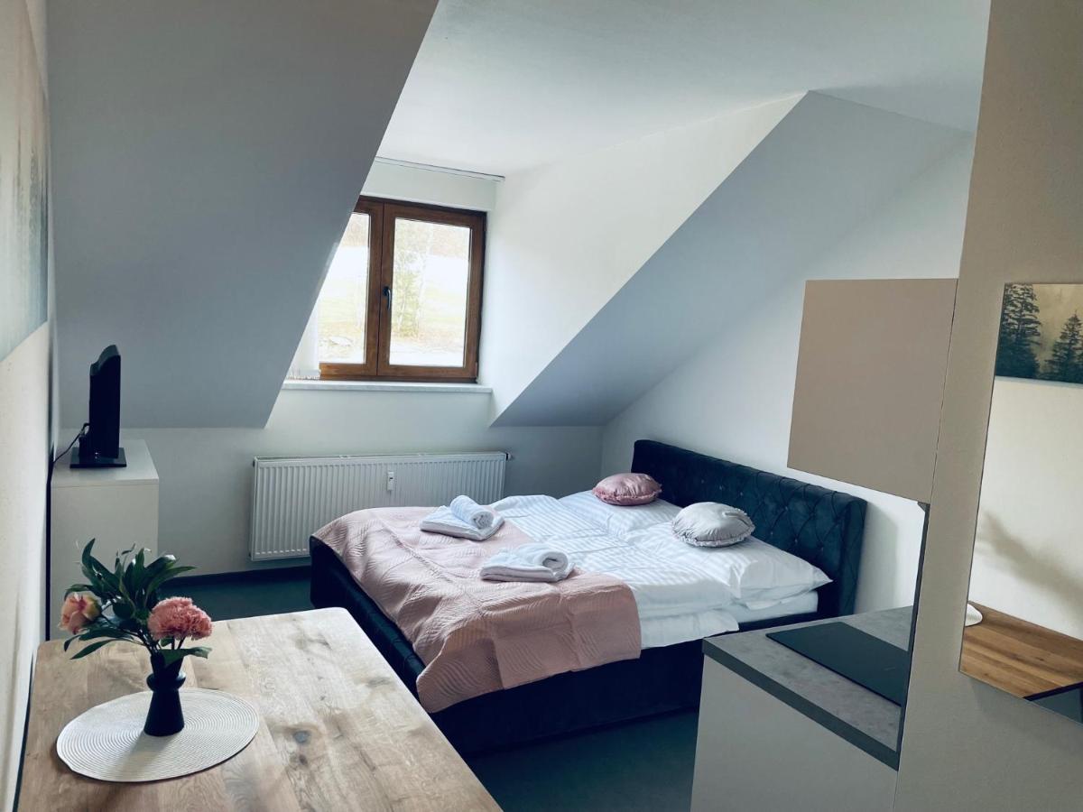 Benesovka Appartement Vacov Buitenkant foto